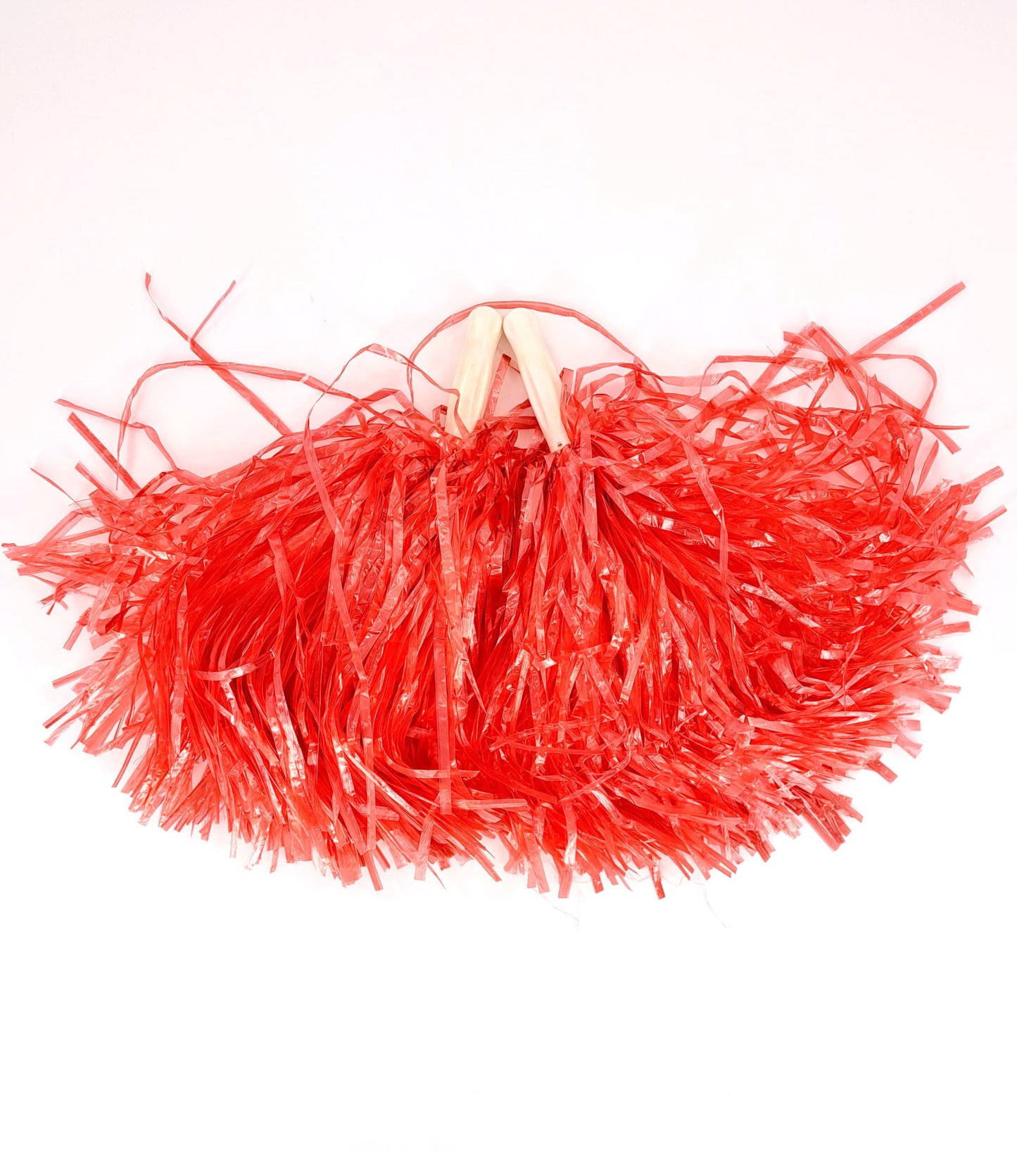 Adult High School Cheerleader Fancy Dress Costume (One Size)