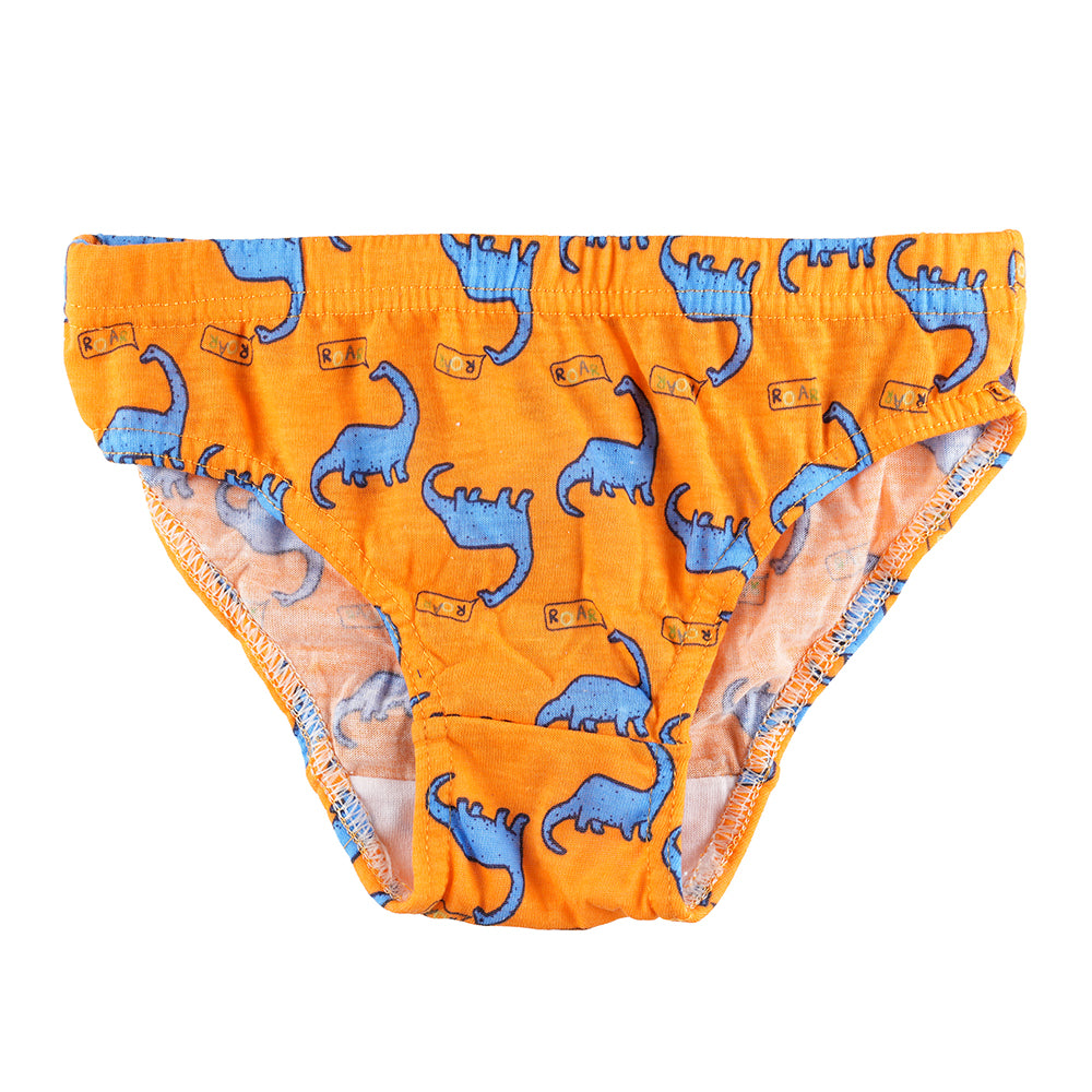 Boys' 7 Pack Briefs – Soft Jersey Underpants with Various Prints – OEKO-TEX Cert